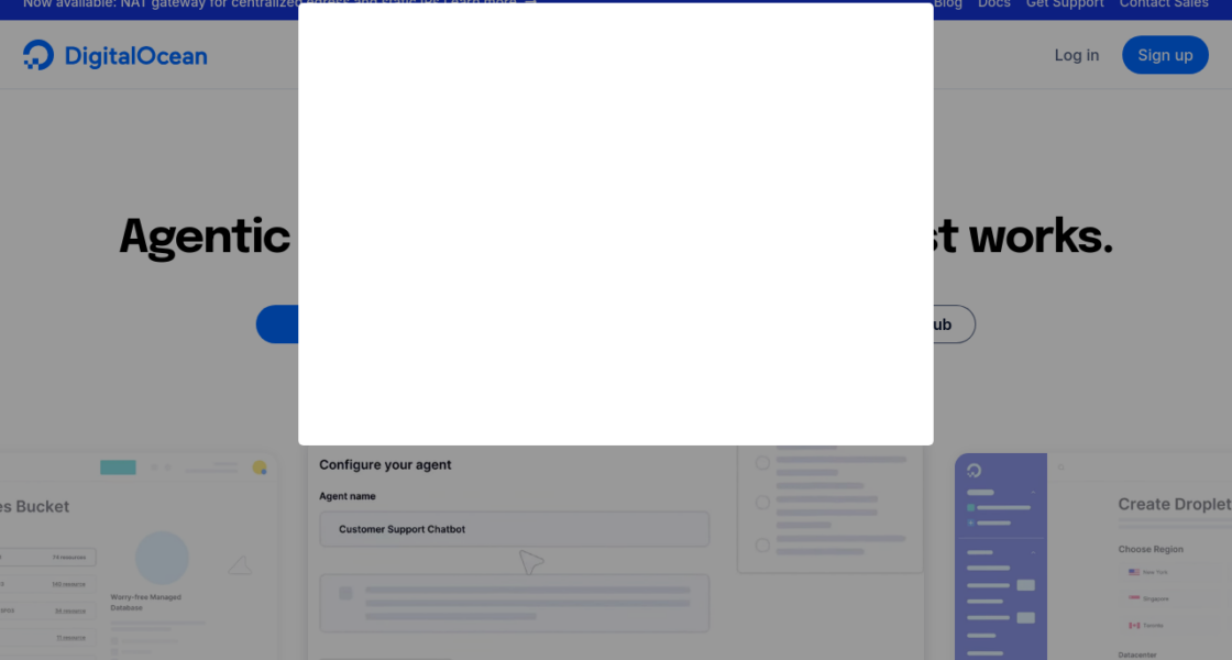 Weblish Insights: A Glimpse into a Website Management Service Dashboard