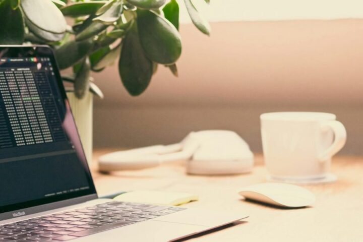 Weebly Free Website vs the Best Alternatives for 2026