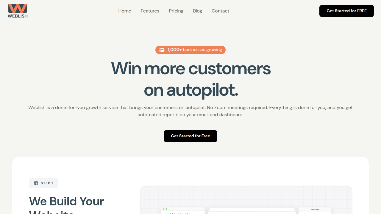 Weblish provides tools and services for small businesses to grow traffic and generate leads, complementing skills learned in marketing classes.