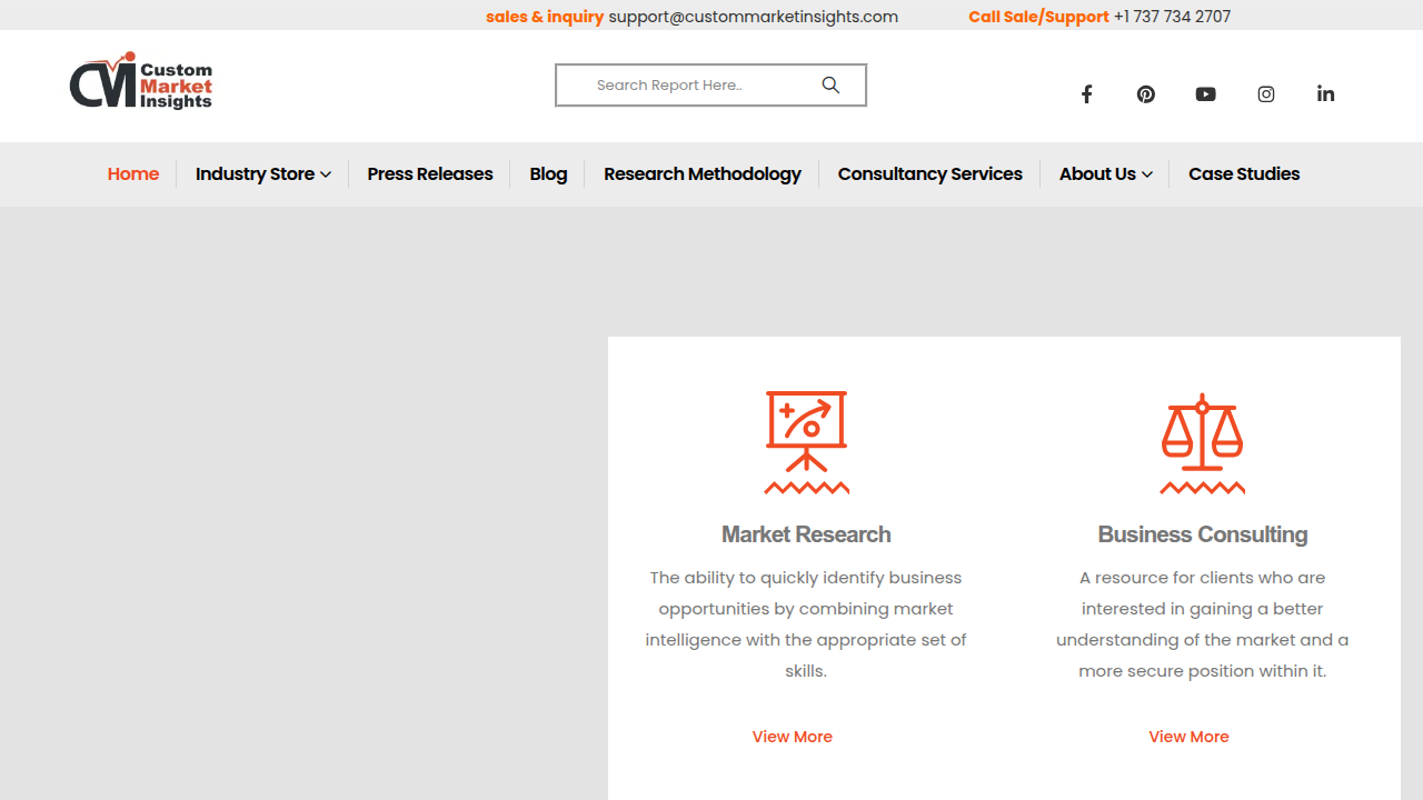 A screenshot of Custom Market Insights' homepage, providing data and reports on various markets including AI.